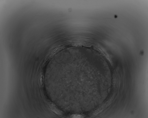 X0000097970169200804011729