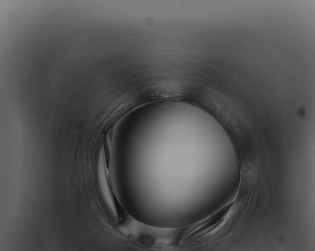 X0000097970170200804011729