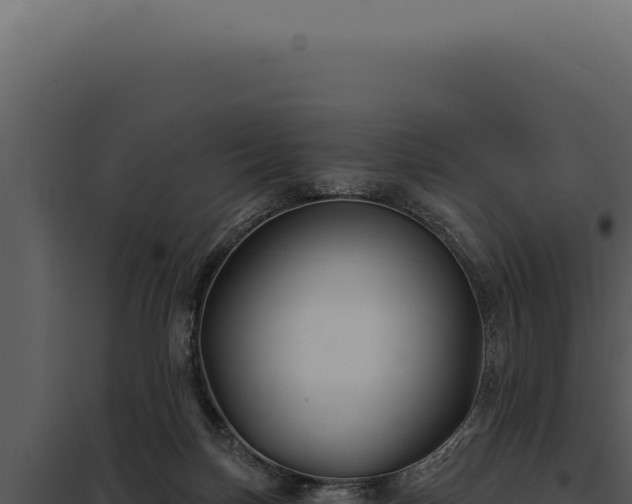 X0000097970171200804011729