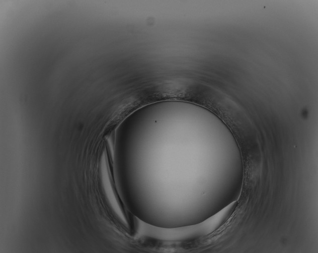 X0000097970172200804011729