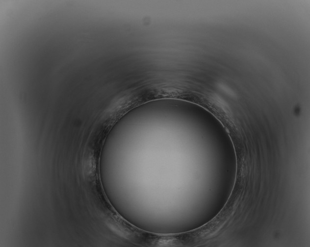 X0000097970173200804011729