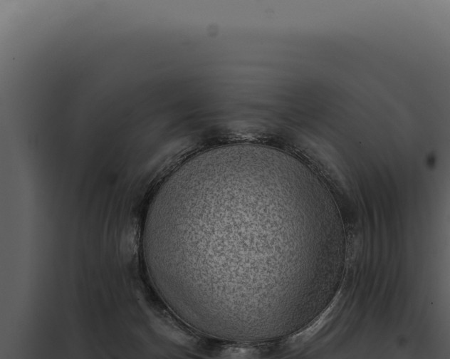 X0000097970174200804011729