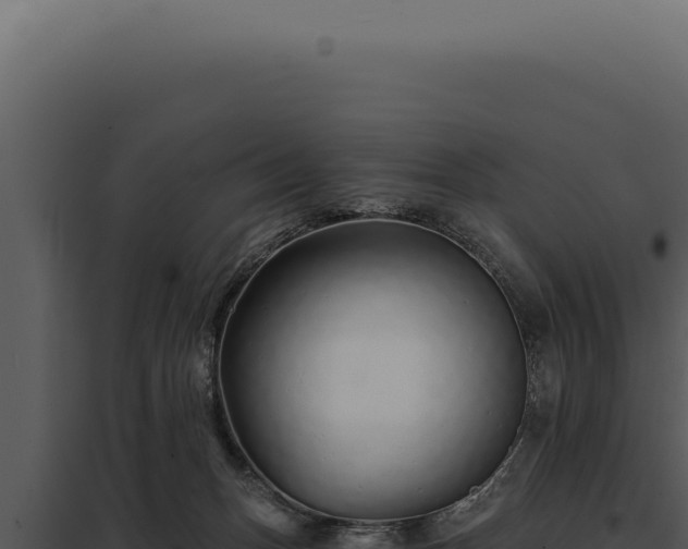 X0000097970175200804011729