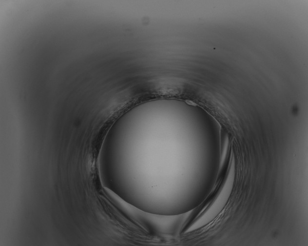 X0000097970176200804011729