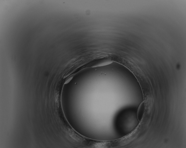 X0000097970178200804011729