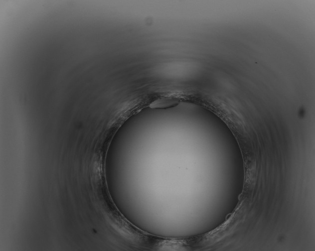 X0000097970179200804011730