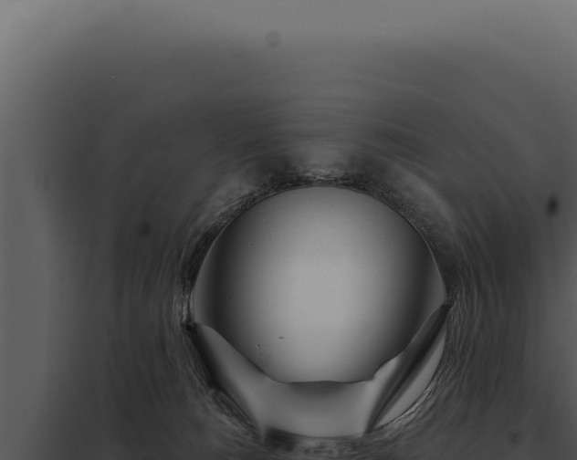 X0000097970180200804011730