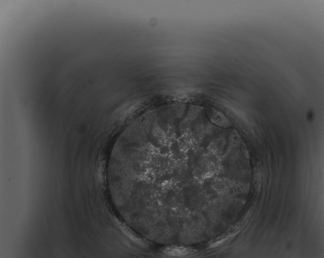 X0000097970181200804011730