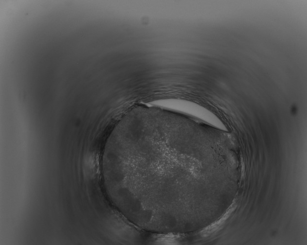 X0000097970182200804011730