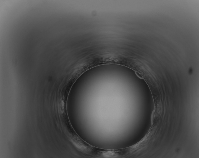 X0000097970183200804011730