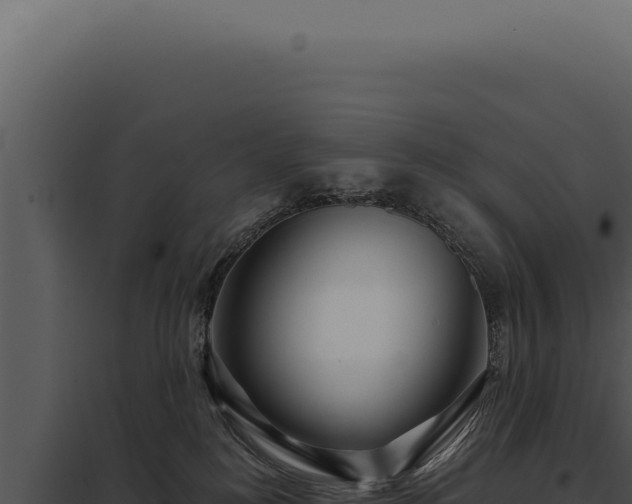 X0000097970184200804011730