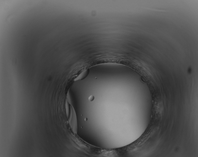 X0000097970185200804011730