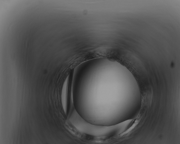 X0000097970186200804011730