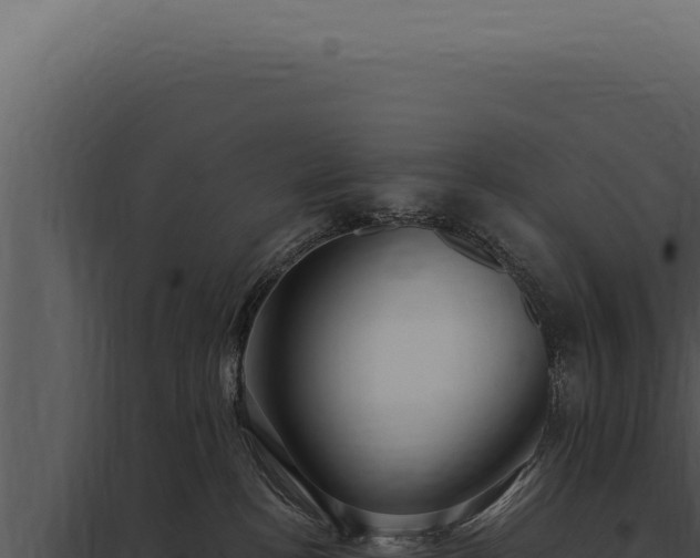 X0000097970188200804011730