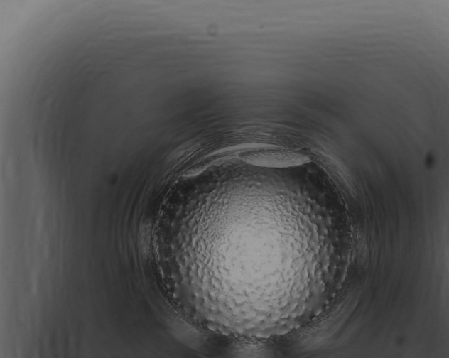 X0000097970189200804011730