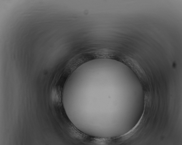 X0000097970190200804011730