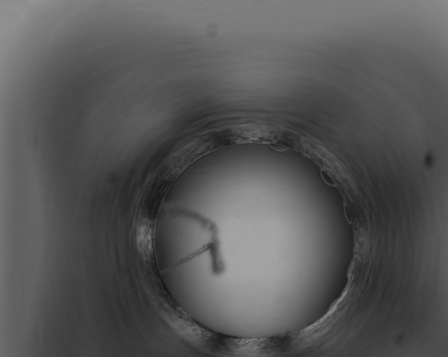 X0000097970191200804011730