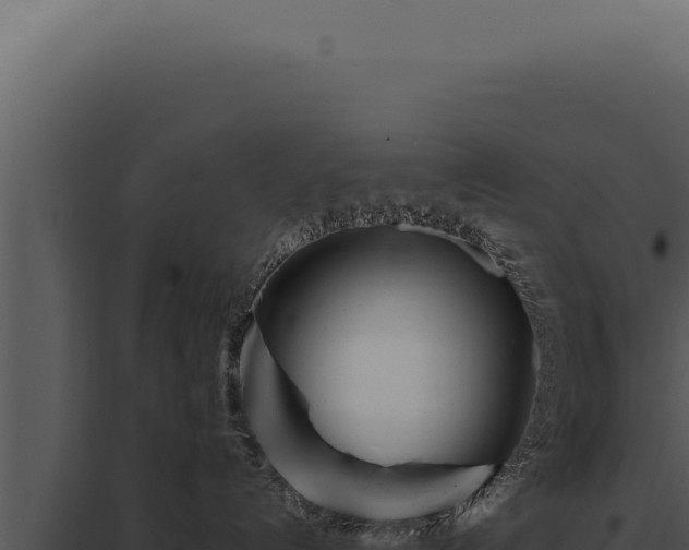 X0000097970192200804011730