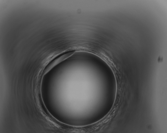 X0000097970193200804011729