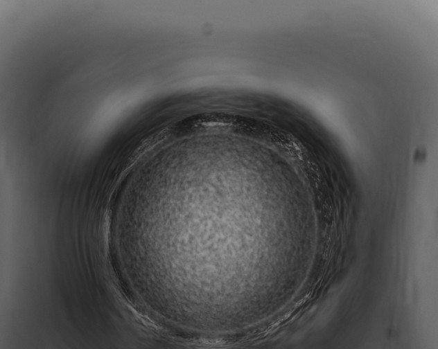 X0000097970194200804011729