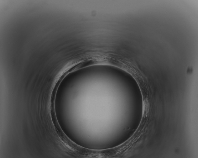 X0000097970195200804011729