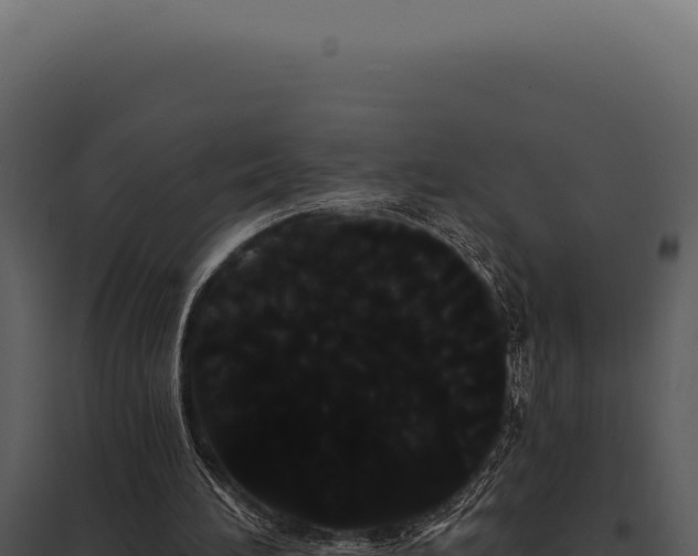 X0000097970196200804011729