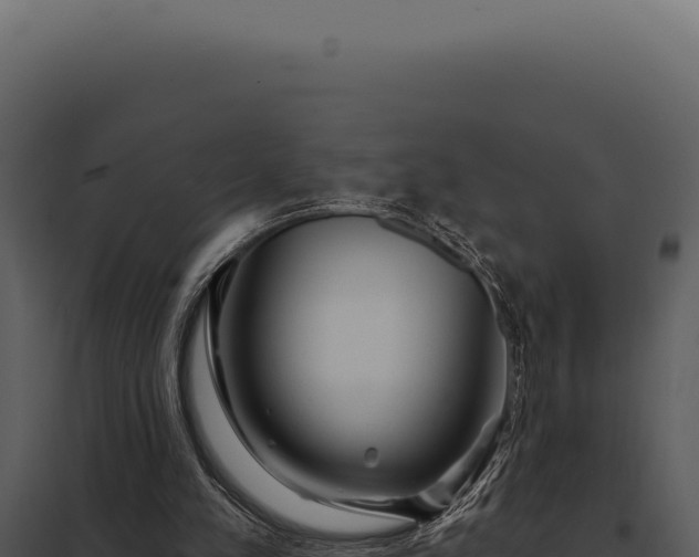 X0000097970197200804011729