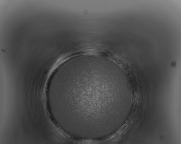 X0000097970198200804011729