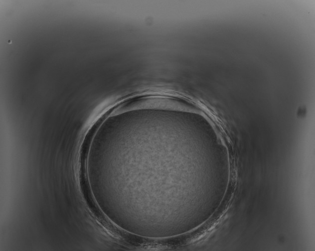 X0000097970199200804011729