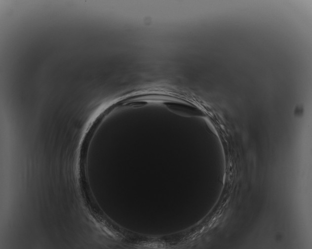 X0000097970200200804011729