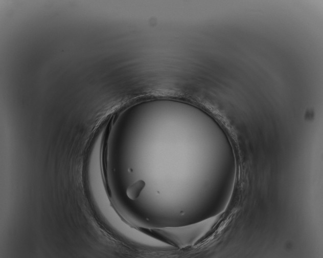 X0000097970201200804011729