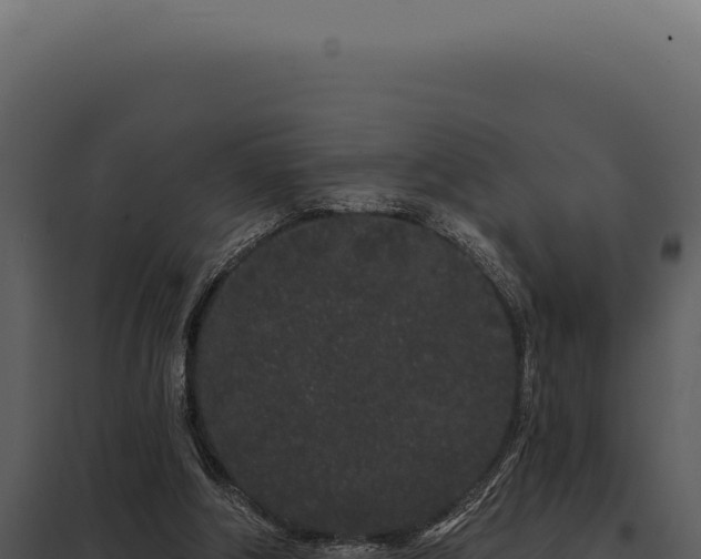 X0000097970202200804011729