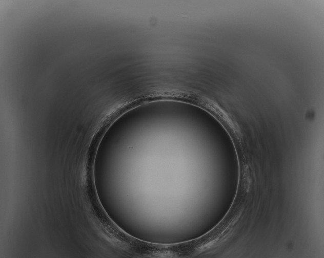 X0000097970203200804011729