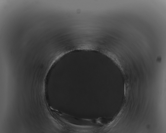 X0000097970204200804011729