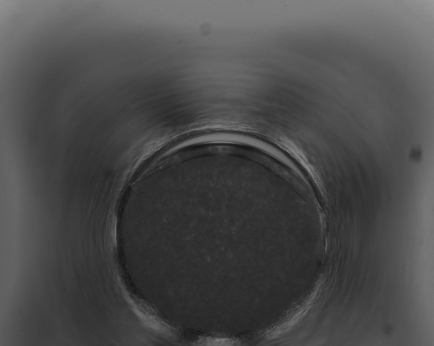 X0000097970205200804011729