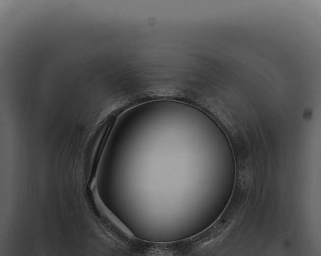 X0000097970207200804011729