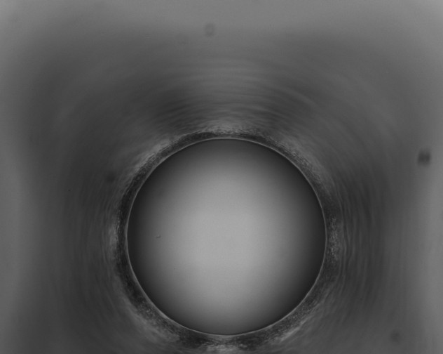 X0000097970208200804011729