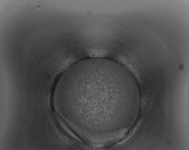 X0000097970209200804011729