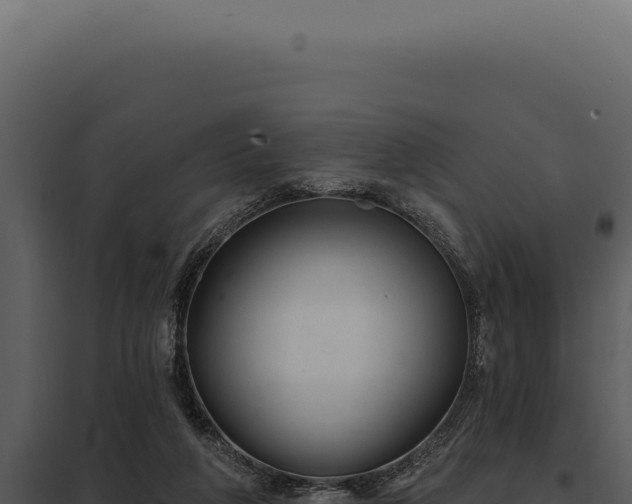 X0000097970210200804011729