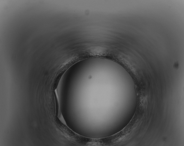 X0000097970211200804011729