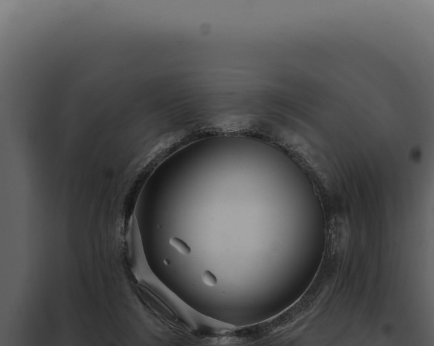 X0000097970212200804011729