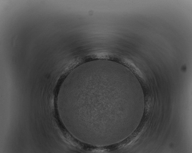 X0000097970213200804011729