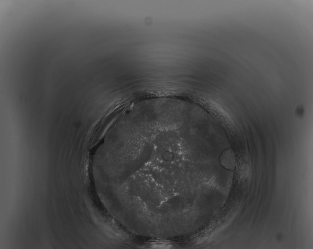 X0000097970214200804011729