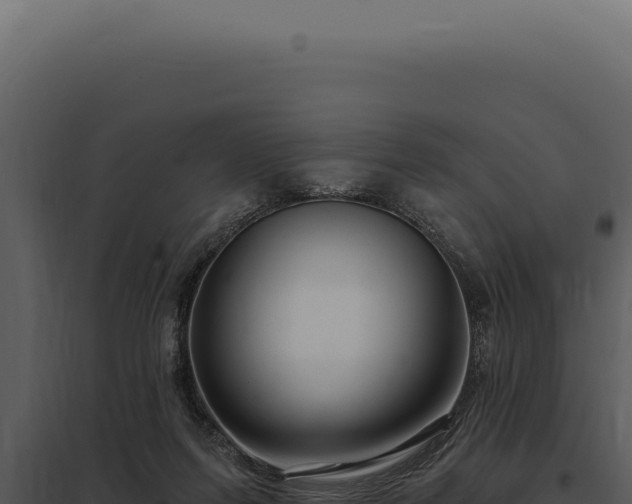 X0000097970215200804011729