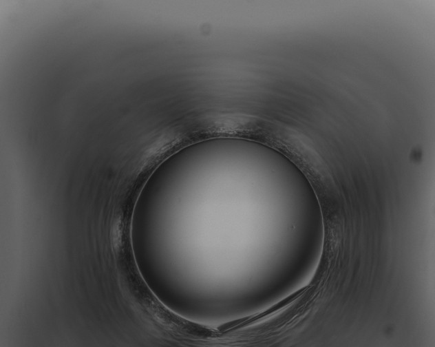 X0000097970216200804011729