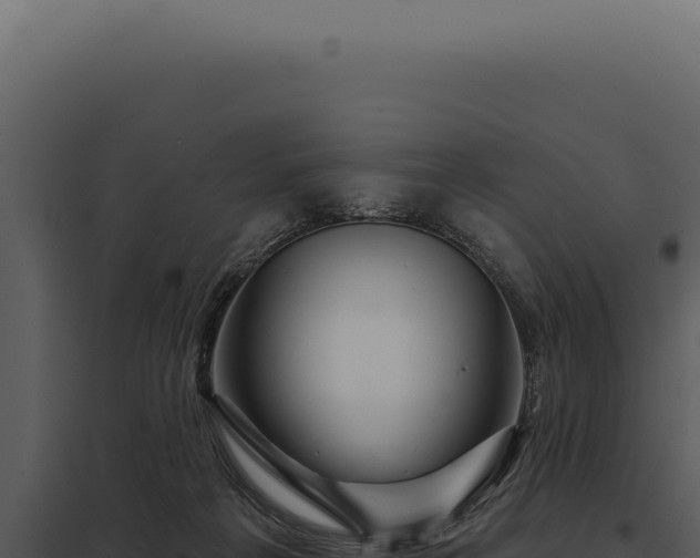 X0000097970217200804011729