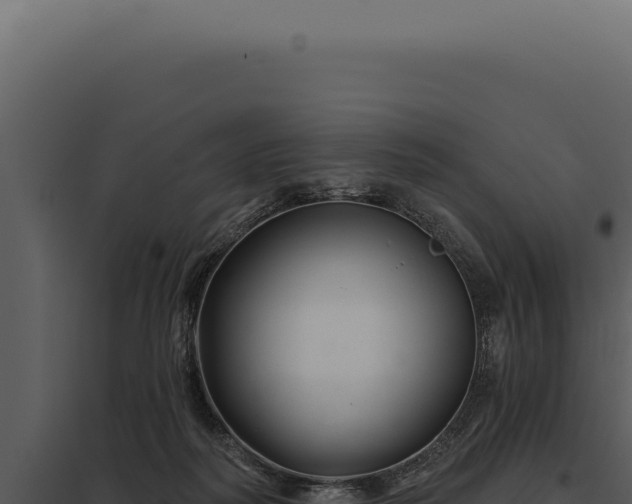 X0000097970218200804011729