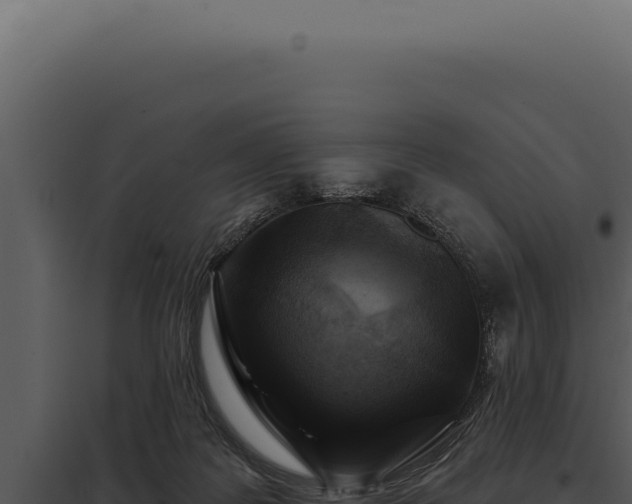 X0000097970219200804011729