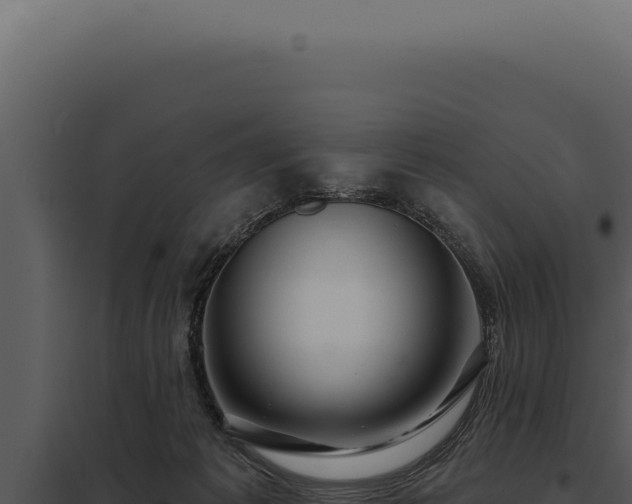 X0000097970221200804011729