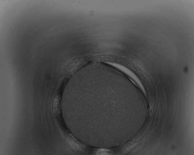 X0000097970222200804011729